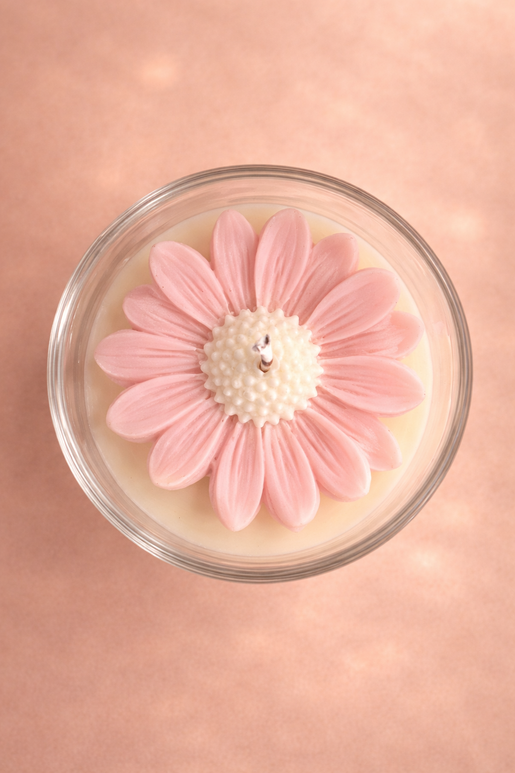 Soft Daisy 🌼